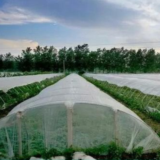 Le problème auquel il faut faire attention lors de l'installation d'un filet anti-insectes