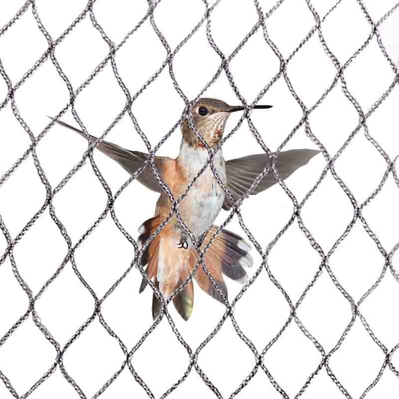 Comment choisir un filet anti-oiseaux pas cher et efficace ?
