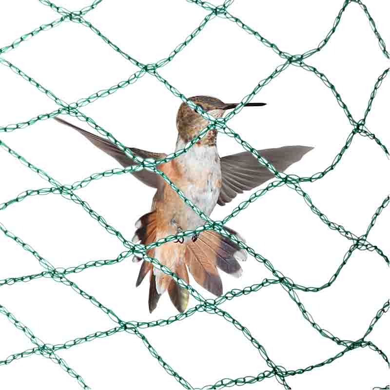 Quel est l'avantage du filet anti-oiseaux ?
