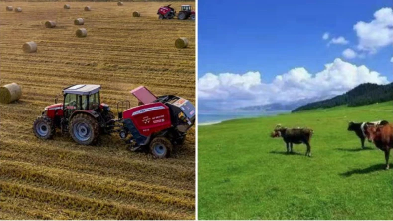 L'application de l'enrubannage par filet de balle dans les activités agricoles