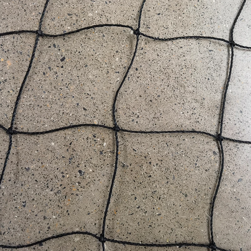 Le rôle des filets de cricket