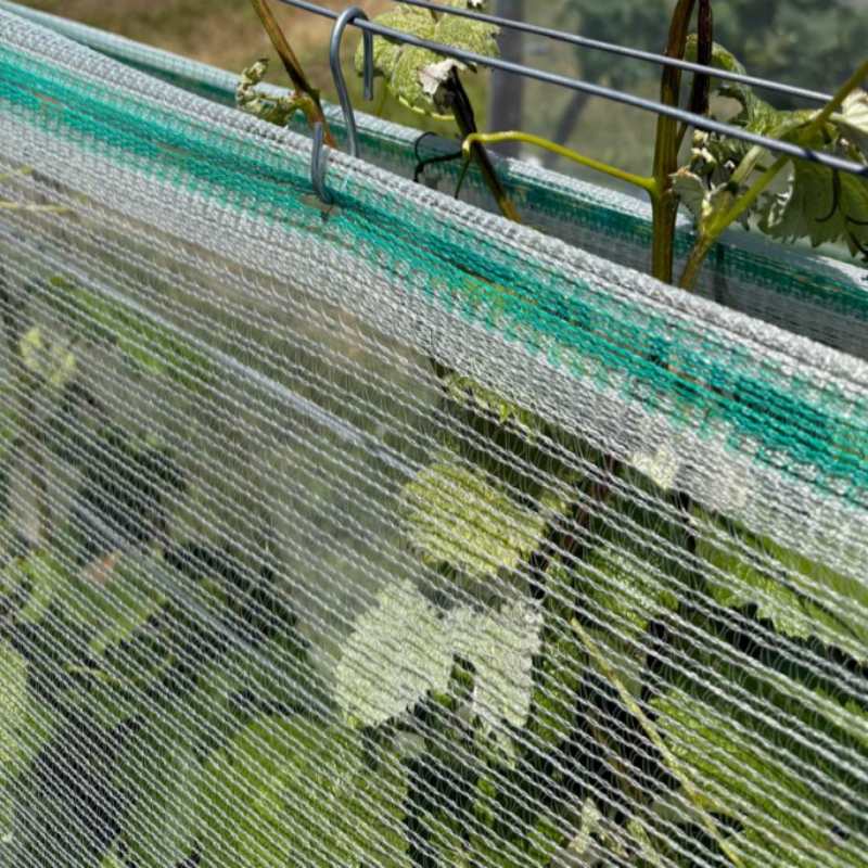 Filet anti-grêle en PEHD agricole Filet anti-grêle en PEHD agricole