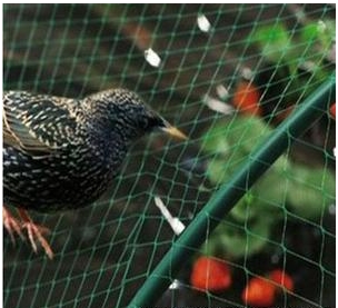 Filet anti-oiseaux pour balcon