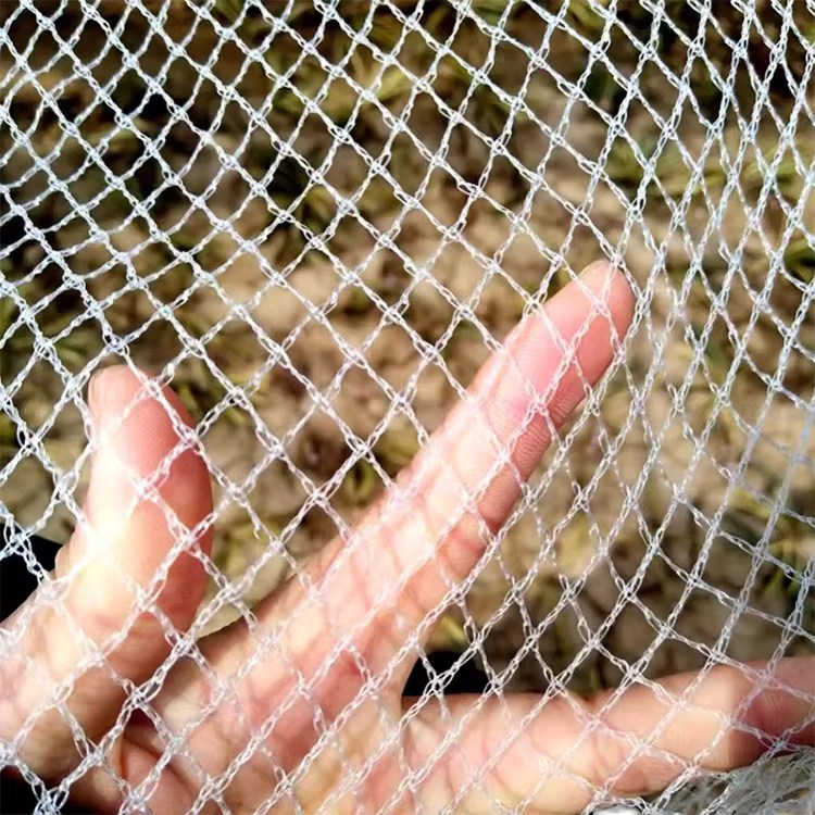 Filet de protection anti-grêle en polyéthylène contre les oiseaux avec maille en plastique découpée sur mesure pour l'agriculture