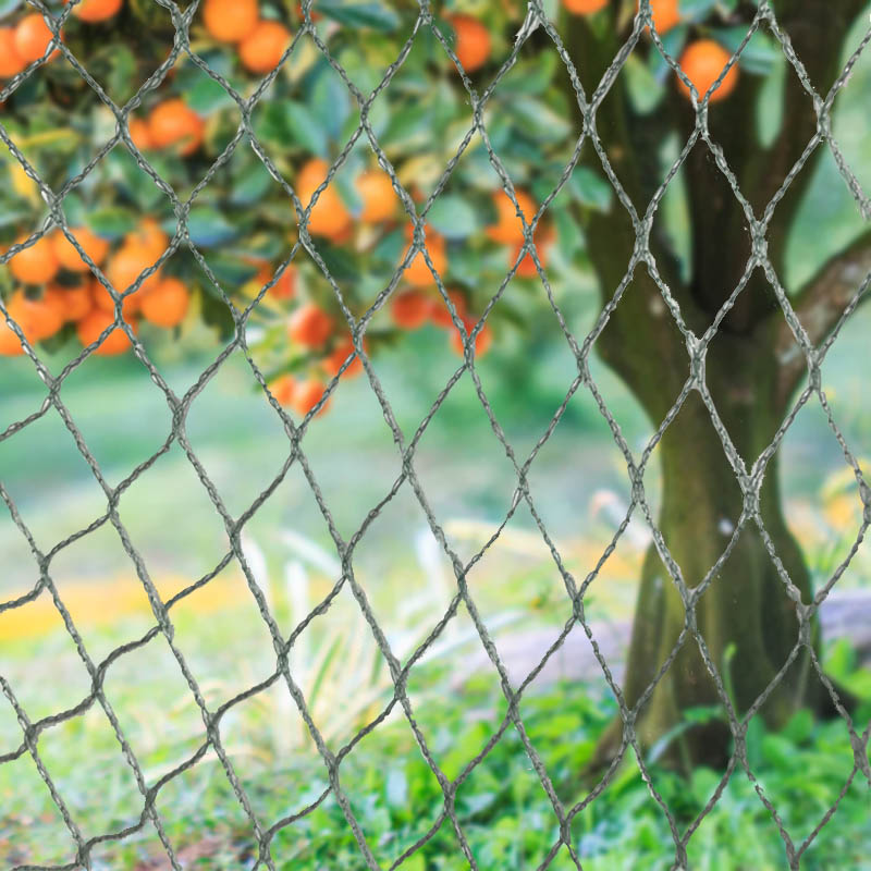 Barrières pour animaux en filet anti-oiseaux