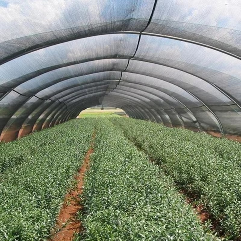 Tissu d'ombrage de jardin pour plantes, 40 % de soleil bloqué