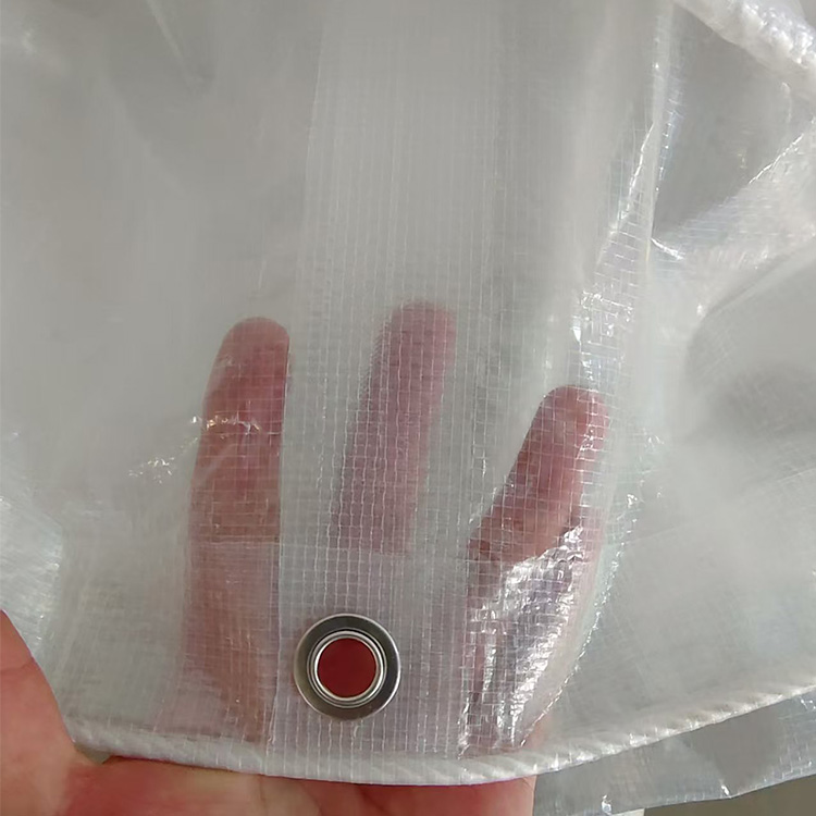 Bâche PE transparente robuste